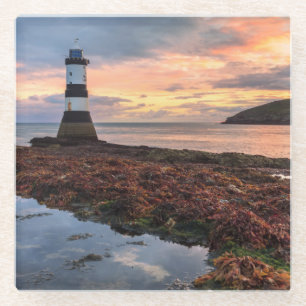 Papageientaucher-Insel des Penmon Glasuntersetzer