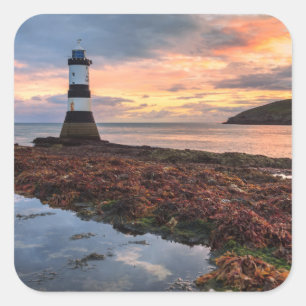 Papageientaucher-Insel des Penmon Quadratischer Aufkleber