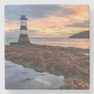 Papageientaucher-Insel des Penmon Steinuntersetzer