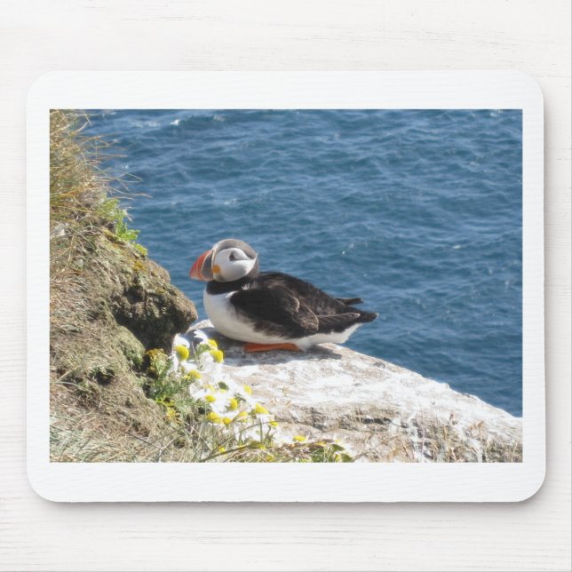 Papageientaucher Mousepad (Vorne)