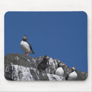 Papageientaucher Mousepad