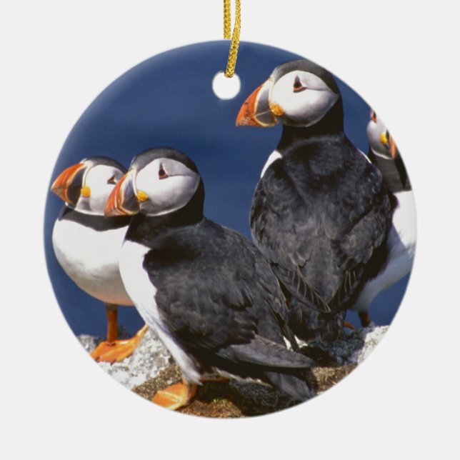 Papageientaucher-tastic Keramik-Verzierung Keramikornament (Vorne)