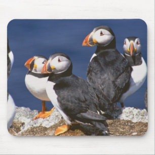 Papageientaucher-tastic Mousepad
