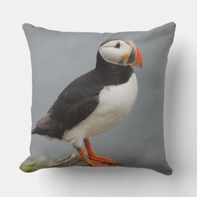 Papageientaucher-Vogel-Antarktis-Natur Kissen (Vorderseite)