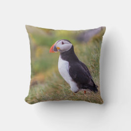 Papageientaucherkissen Kissen