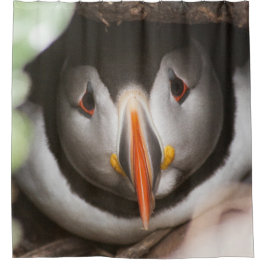 Papageientaucherphotographie Duschvorhang