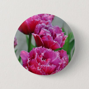 Papageientulis Button