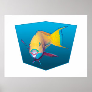 Papageifisch - Design Farbverlauf blauer Hintergru Poster