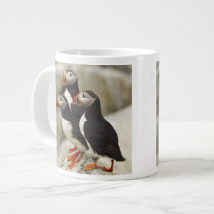 Papageitaucher auf Machias Seal Island Jumbo-Tasse