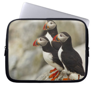 Papageitaucher auf Machias Seal Island Laptopschutzhülle