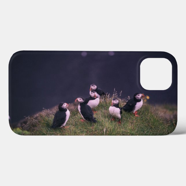 Papageitaucher Case-Mate iPhone Hülle (Rückseite (Horizontal))