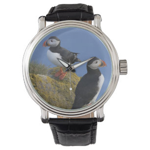 Papageitaucher (Fratercula arctica) auf Klippe Armbanduhr