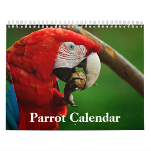 Papagekalender 2020 kalender