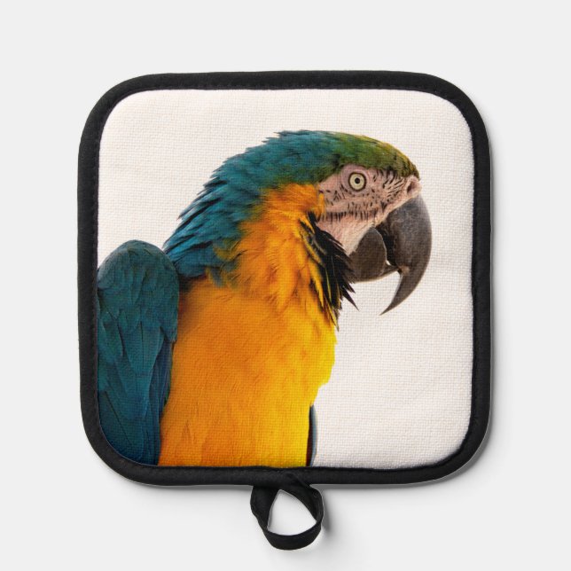 PapageNotes Topflappen (Vorderseite)