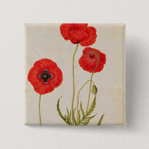Papavar rhoeas, c.1568 button