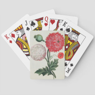 Papaver somniferum und Papaver rheas graviert durc Spielkarten