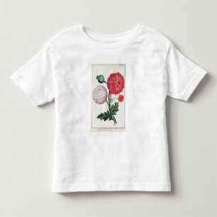 Papaver-Somniferum und Papaver rheas graviert Kleinkind T-shirt