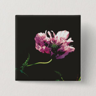 Papaver Sugarplum Button