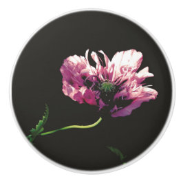 Papaver Sugarplum Keramik Knob Keramikknauf