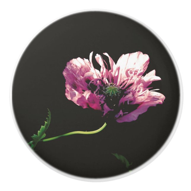Papaver Sugarplum Keramik Knob Keramikknauf (Vorderseite)