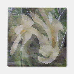 Papaya-Blume in abstraktem Magnet