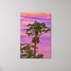 Papaya Tree und brasilianischer Sonnenuntergang Leinwanddruck
