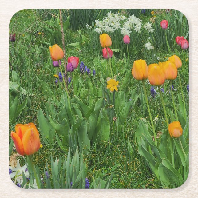 Paper Coaster Rechteckiger Pappuntersetzer (Vorderseite)