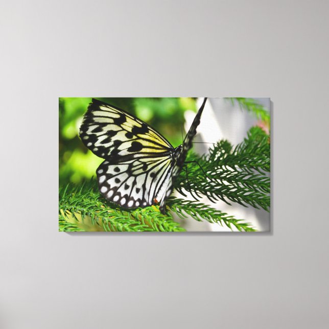 Paper Kite Butterfly Leinwanddruck (Vorderseite)