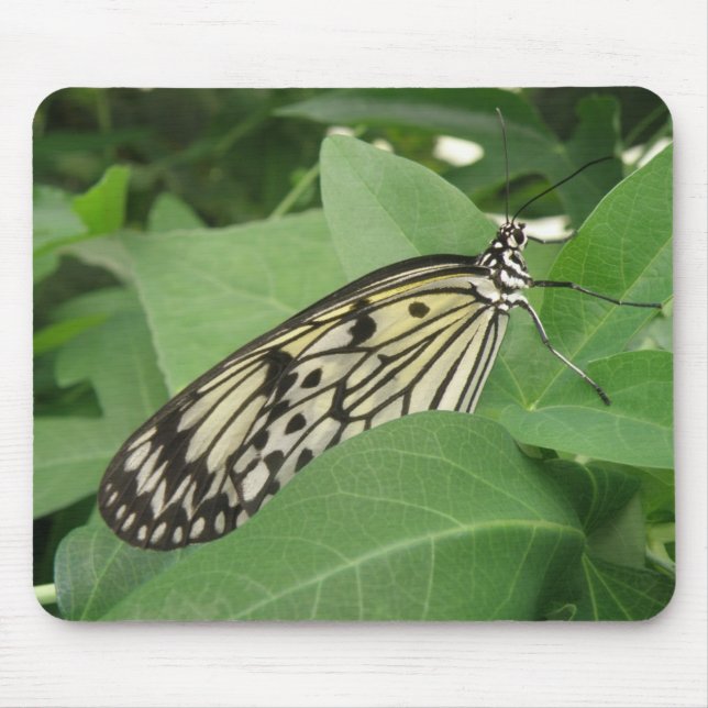 Paper Kite Butterfly Macro Mousepad (Vorne)