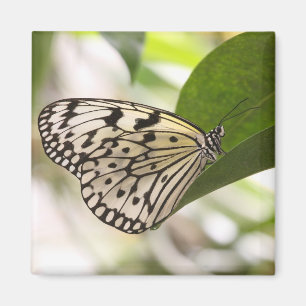 Paper Kite Butterfly Magnet
