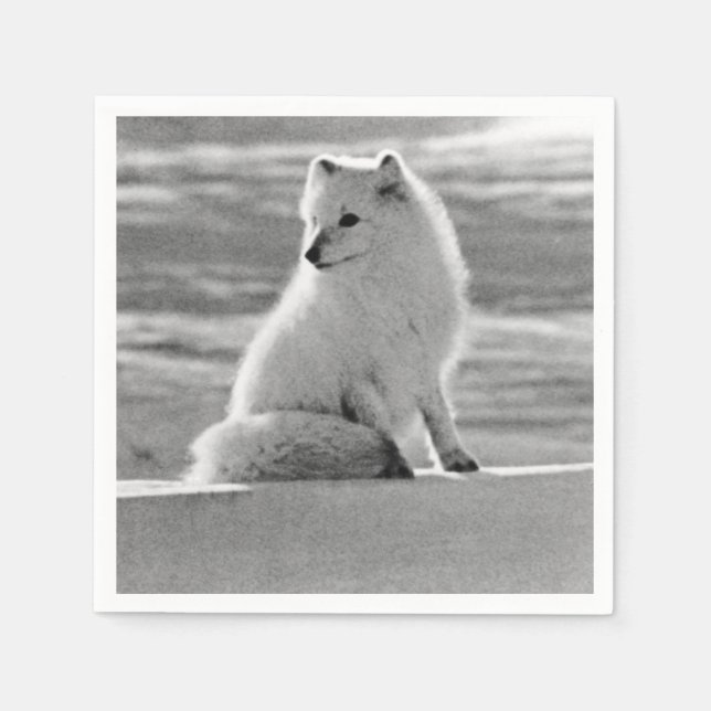 Paper Napkin Serviette (Vorderseite)