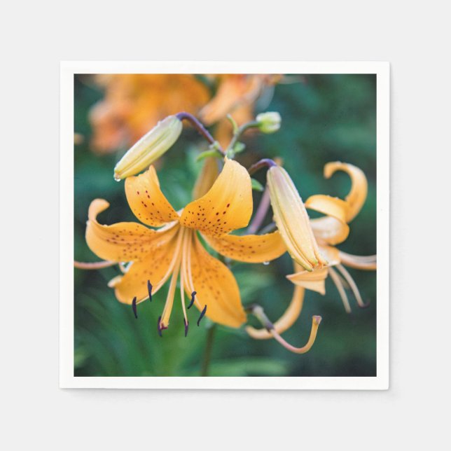 Paper Napkins Serviette (Vorderseite)