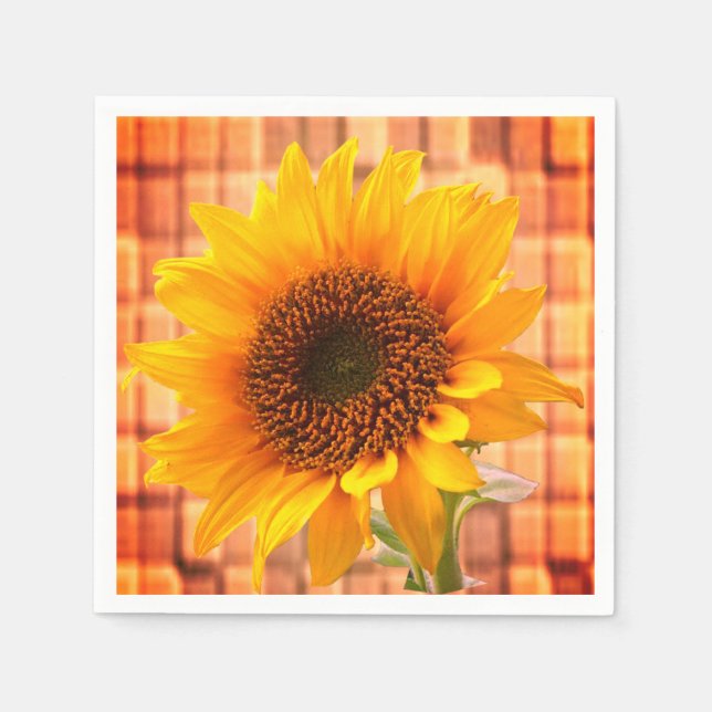 Paper Napkins Serviette (Vorderseite)