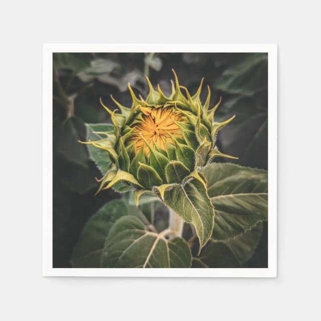 Paper Napkins Serviette (Vorderseite)