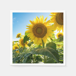 Paper Napkins Serviette