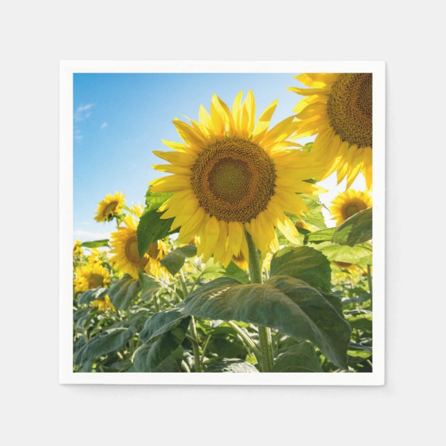 Paper Napkins Serviette (Vorderseite)