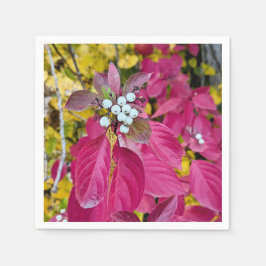 Paper Napkins Serviette