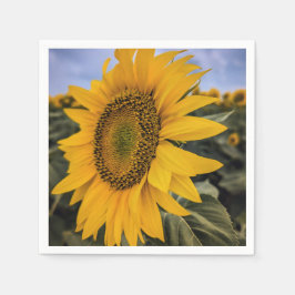 Paper Napkins Serviette