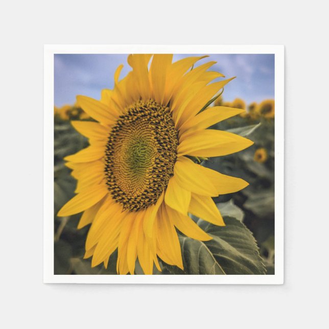 Paper Napkins Serviette (Vorderseite)