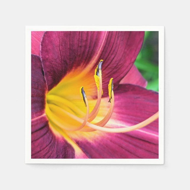 Paper Napkins Serviette (Vorderseite)