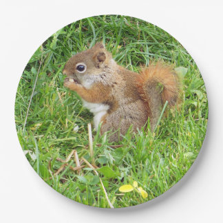 Paper Tellers " Themed, Beautful Red Squirrel " Pappteller