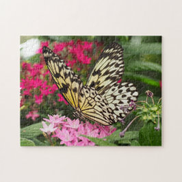 PaperKite Butterfly Fotorätsel