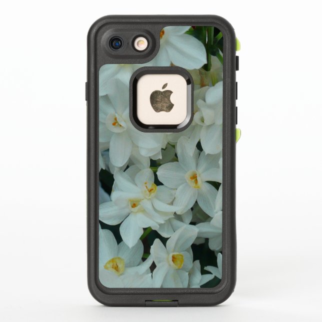Paperwhite Narcissus Delikate Weiße Blume (Rückseite)