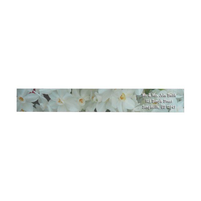 Paperwhite Narcissus Delikate Weiße Blume (Person)
