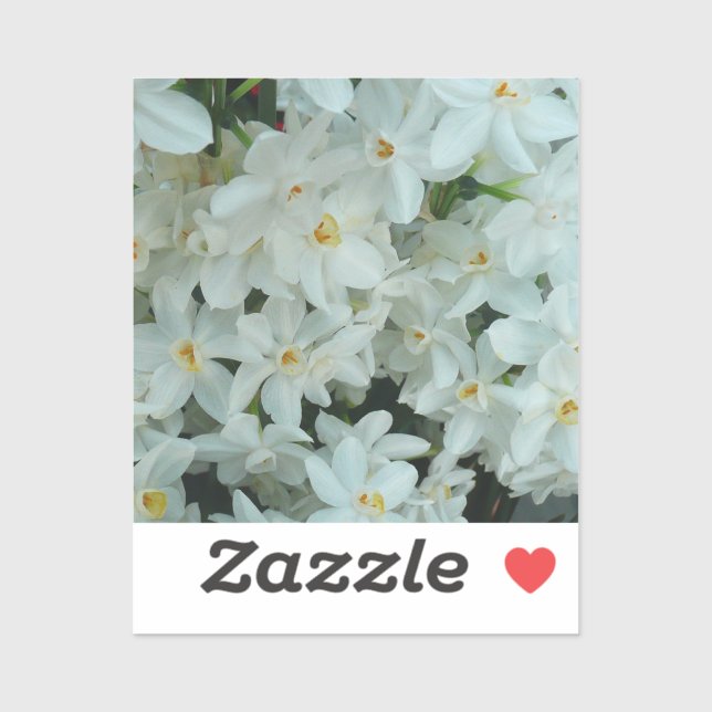 Paperwhite Narcissus Delikate Weiße Blume Aufkleber (Blatt)