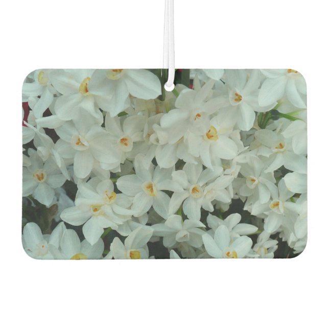 Paperwhite Narcissus Delikate Weiße Blume Autolufterfrischer (Vorderseite)