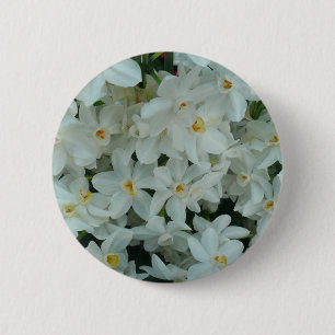 Paperwhite Narcissus Delikate Weiße Blume Button