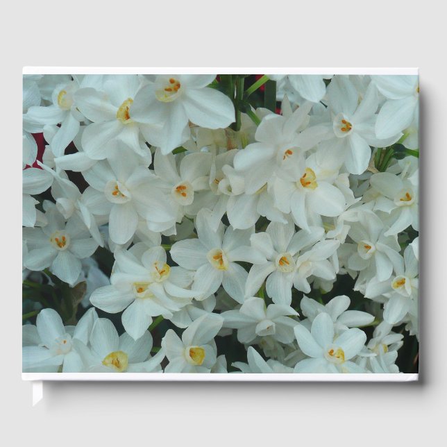 Paperwhite Narcissus Delikate Weiße Blume Gästebuch (Vorderseite)