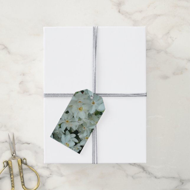 Paperwhite Narcissus Delikate Weiße Blume Geschenkanhänger (Mit Garn)