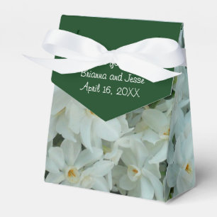 Paperwhite Narcissus Delikate Weiße Blume Geschenkschachtel